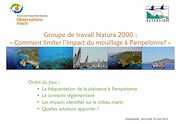 Natura 2000 Corniche Varoise du 10 mai dernier à Ramatuelle, relatif à la problématique du mouillage à Pampelonne